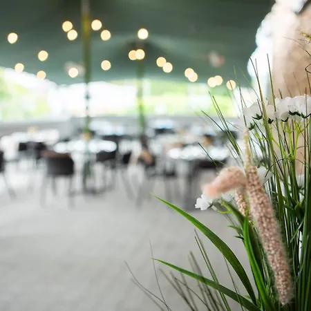 Talbot 4* Клонмел